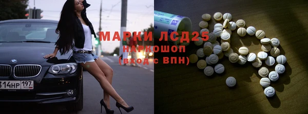 спайс Богданович