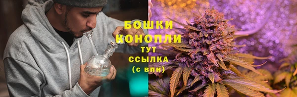 спайс Богданович